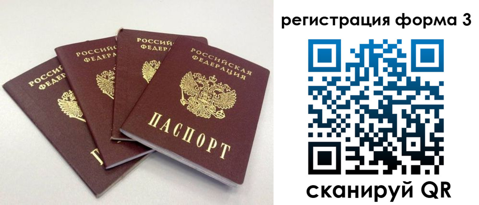 прописка 2025 в Бронницах